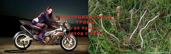 скорость mdpv Алзамай